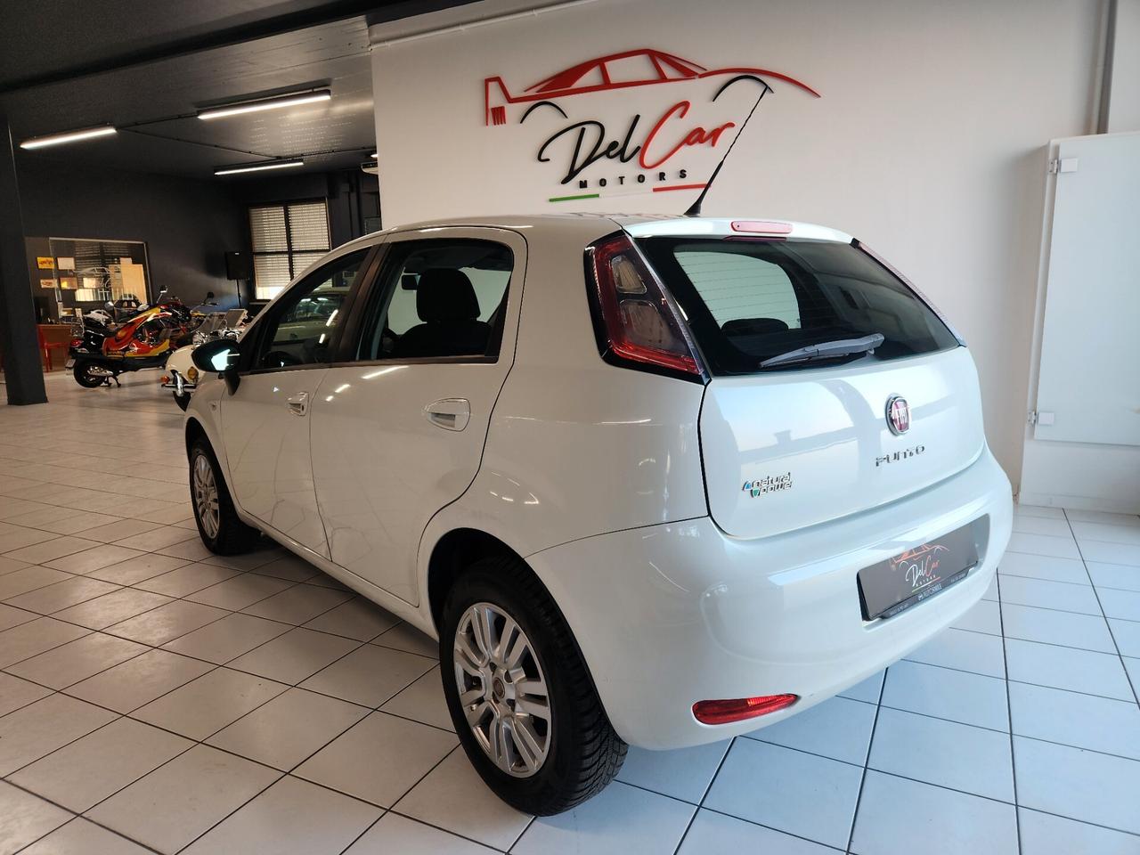 Fiat Punto 1.4 8V 5 porte Natural Power Lounge