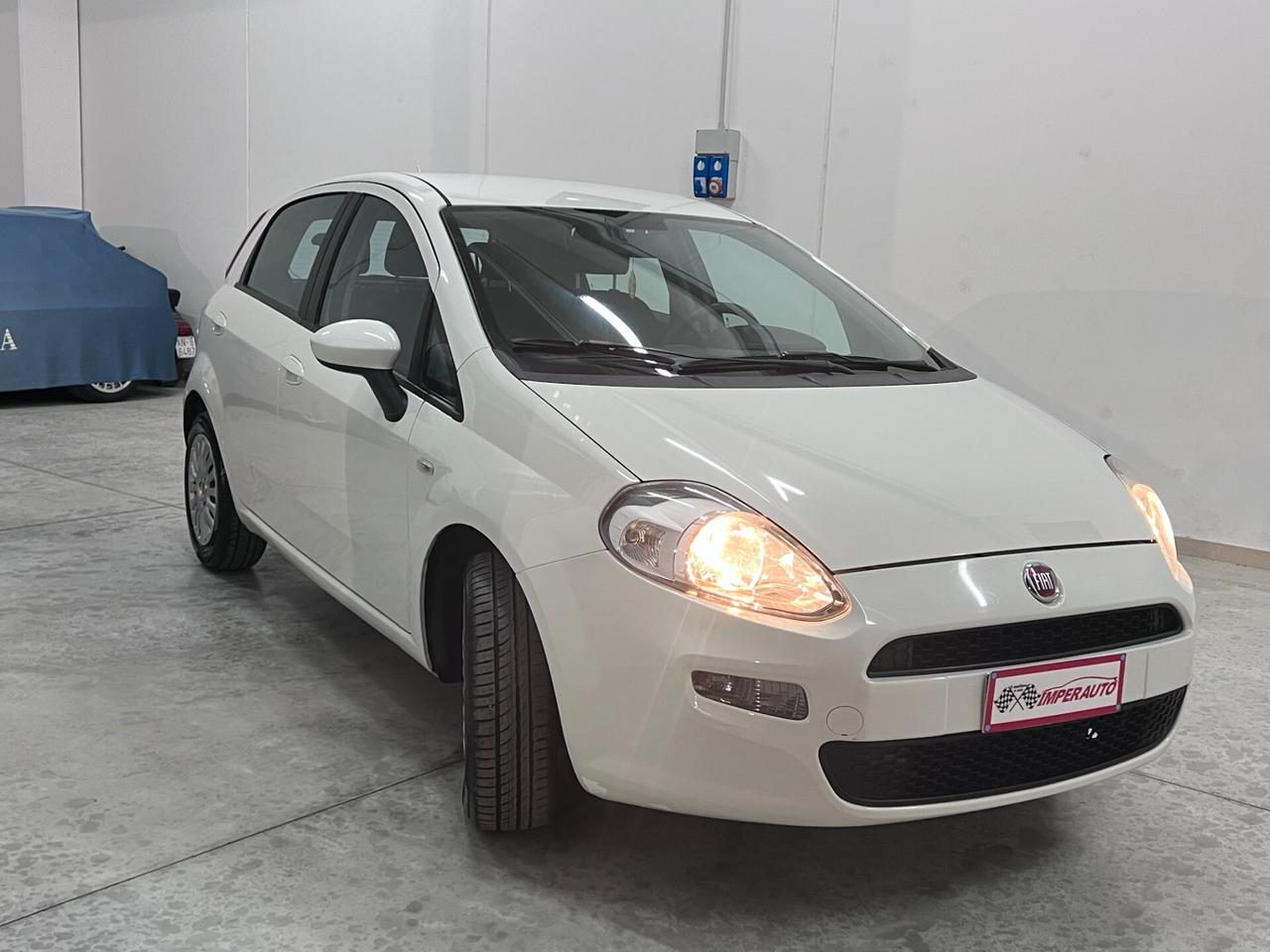 Fiat Punto 1.3MJT 75CV Lounge DISTRIBUZ.E GARANZIA