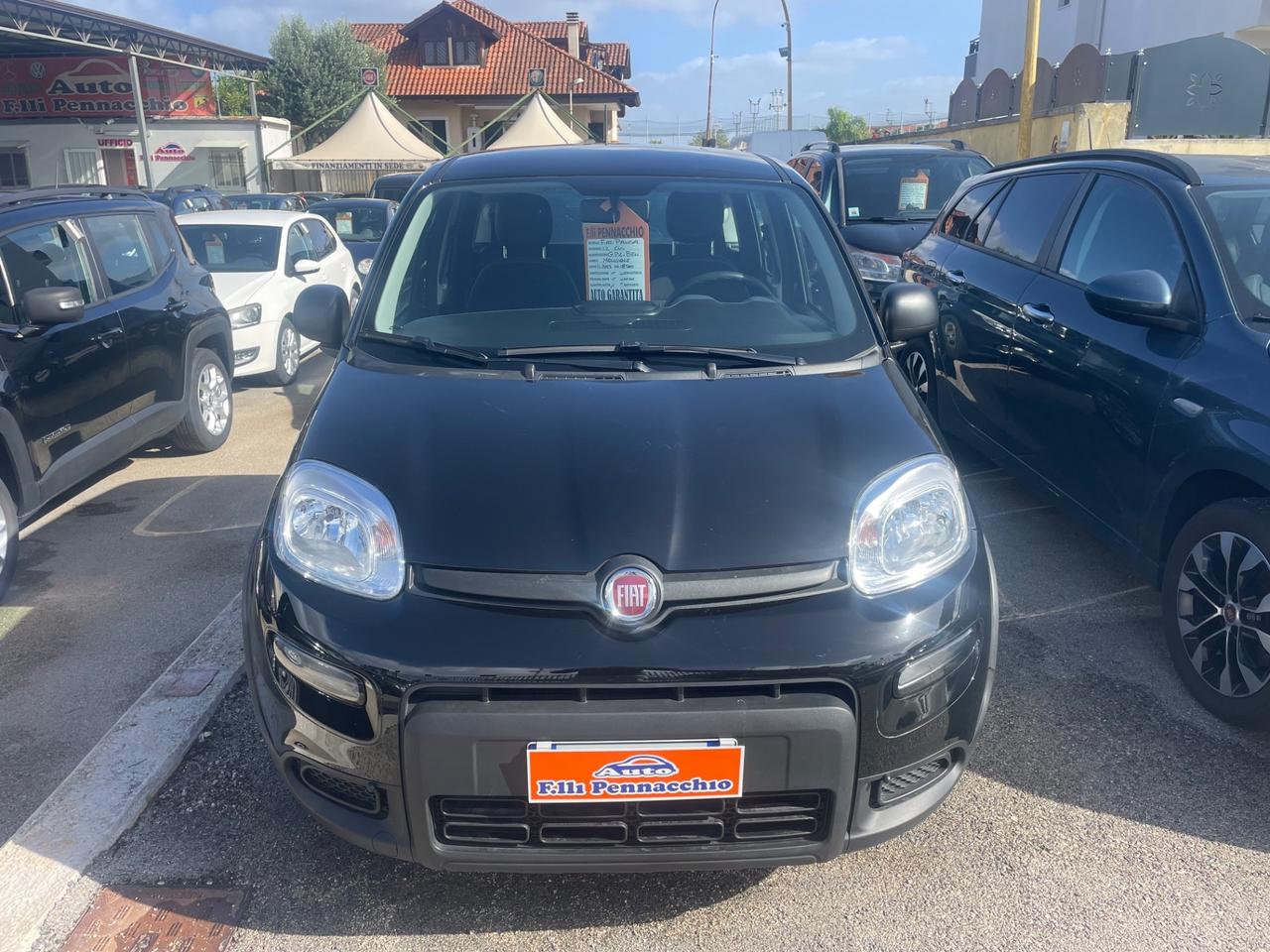 FIAT PANDA 1.2 GPL 69 (CV) 2023