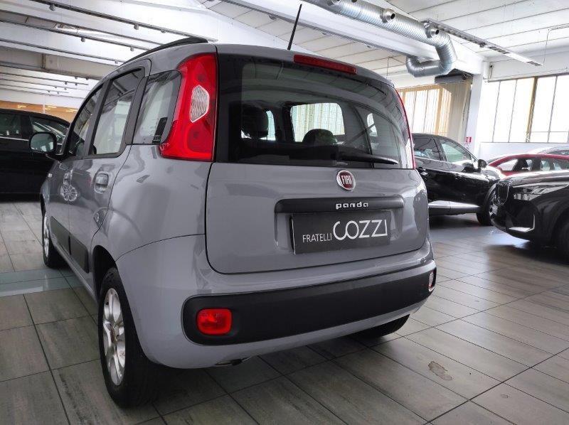 FIAT Panda 3ª serie - Panda 1.2 Lounge