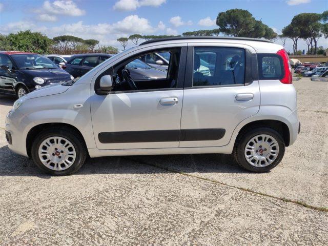 FIAT Panda 1.2 Lounge OK NEOPATENT. CLIMA,FENDINEBBIA ..