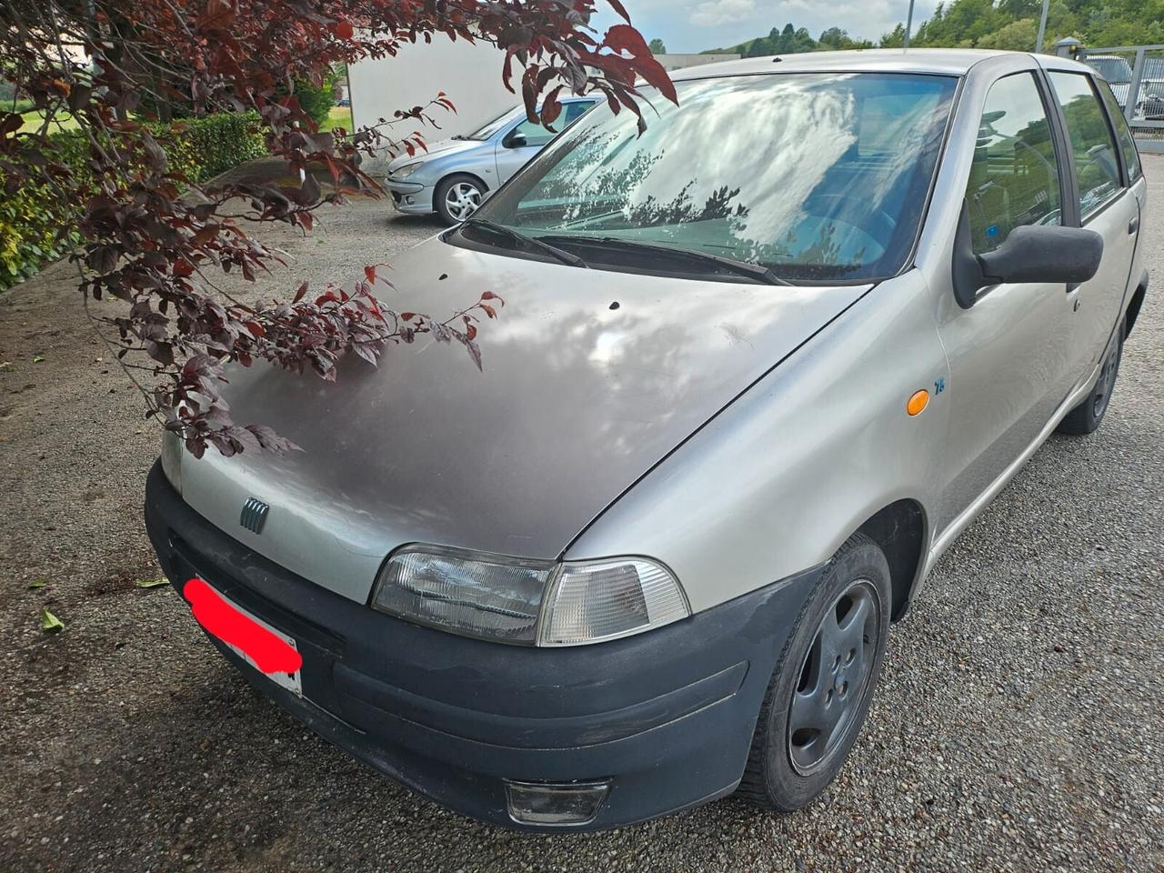 Fiat Punto 75 cat 5 porte HSD
