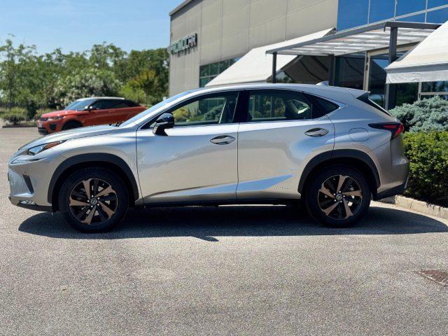 LEXUS NX 300h HYBRID 4WD EXECUTIVE *TETTO*PELLE*