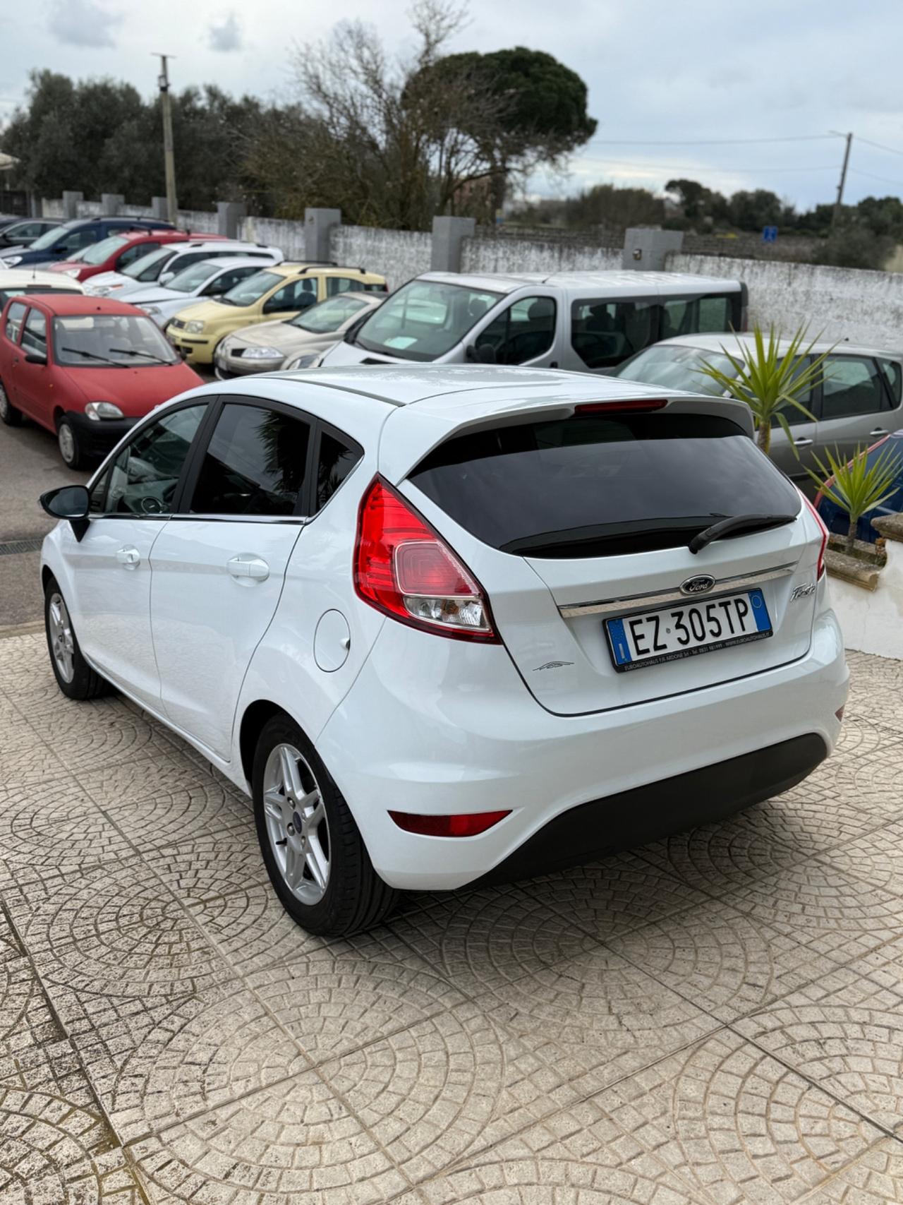 Ford Fiesta 1.5 TDCi 75CV 5 porte Black & White Edition
