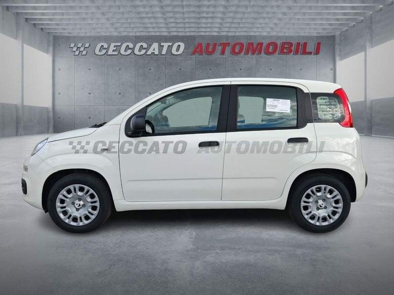 FIAT Panda Panda 1.0 70cv Hybrid Pop