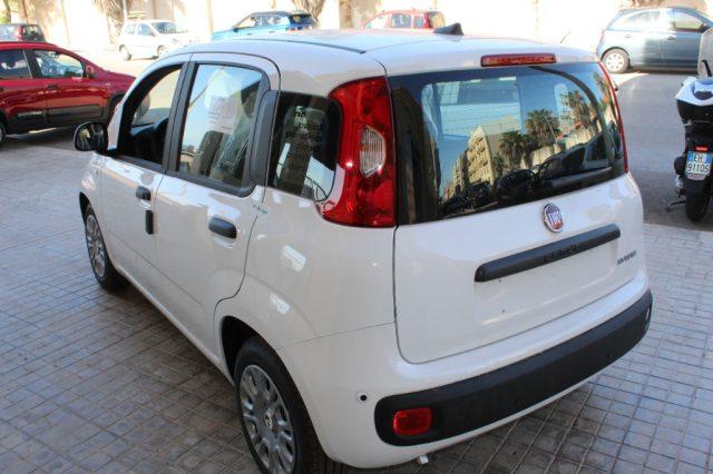 FIAT Panda 1.0 PANDINA Hybrid Icon-KM0
