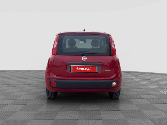 FIAT Panda Pandina 1.0 FireFly 65 CV Hybrid Pop