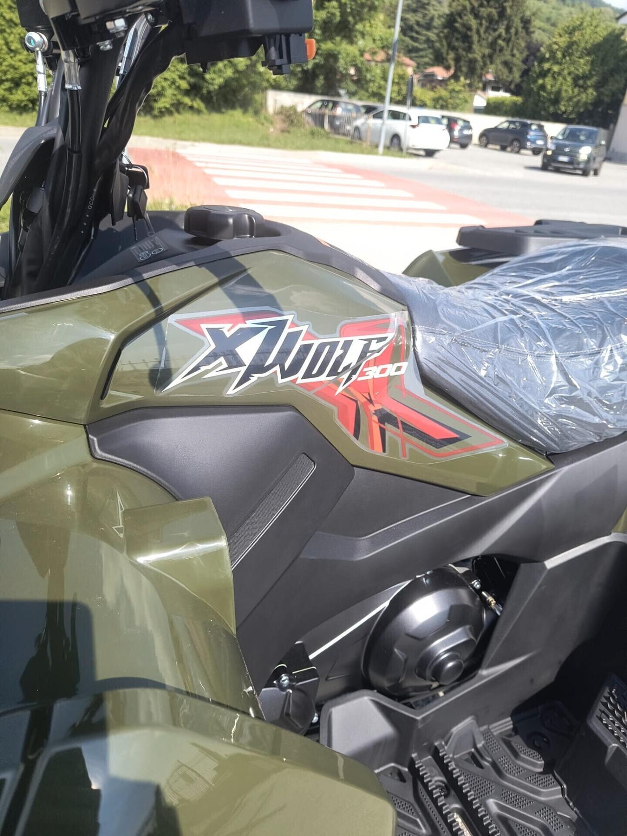 QUAD 300 CON RIDOTTE LONCIN XWOLF
