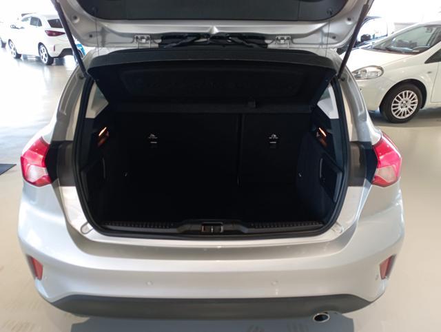 FORD Focus 1.5 EcoBlue 95 CV 5p. Plus