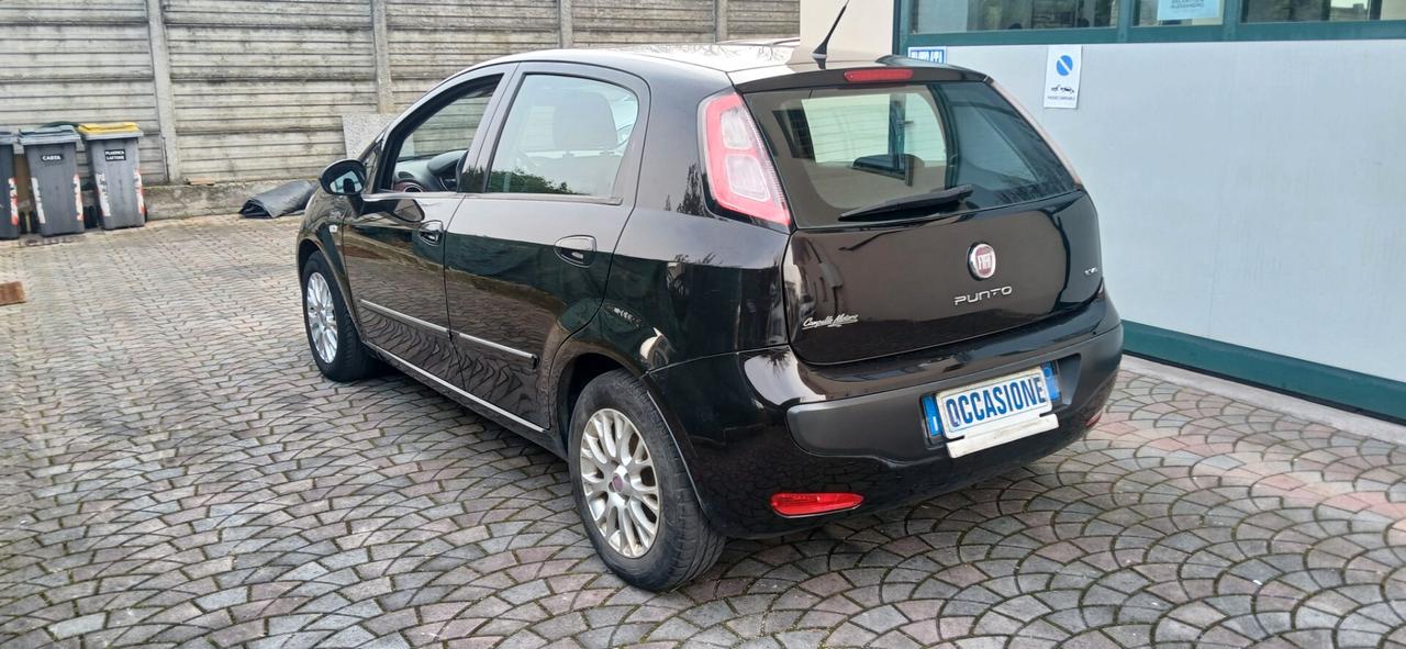 Fiat Punto Evo 1.3 Mjt pochi km neopatentati