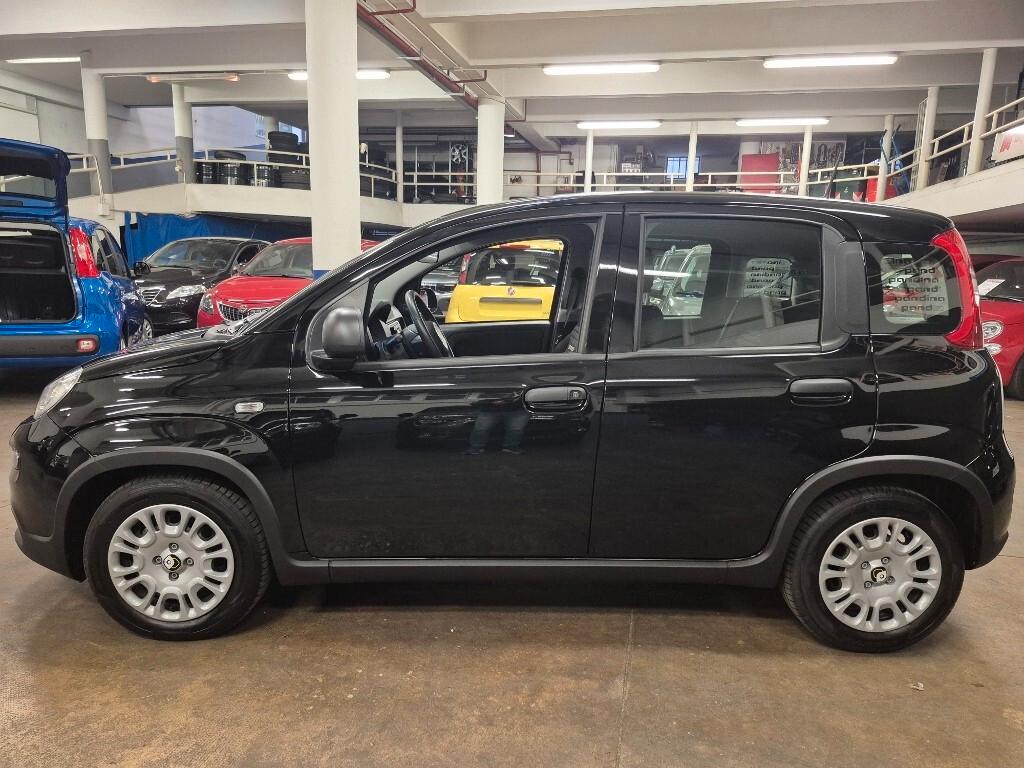 Fiat Panda 1.0 FireFly S&S Hybrid Pandina