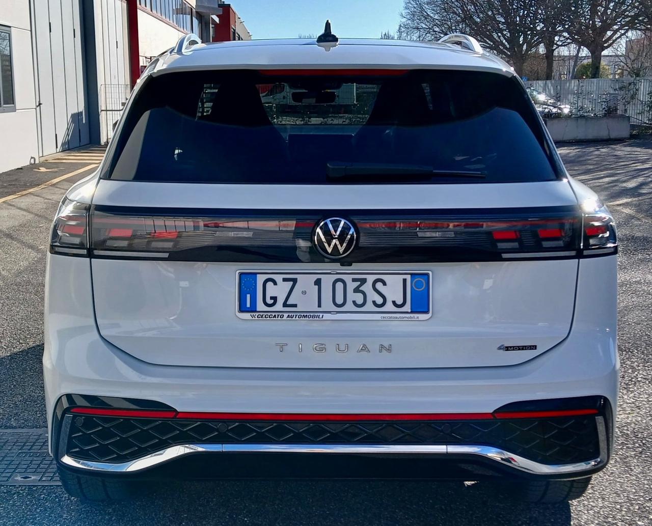 Volkswagen Tiguan 2.0 TDI 193 CV DSG 4MOTION R-Line Plus