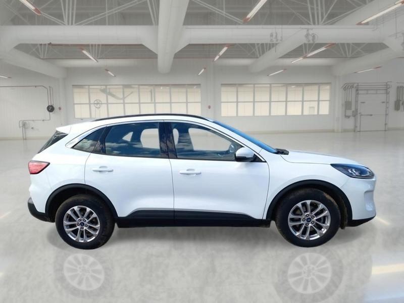 FORD KUGA 1.5 EcoBlue 120CV 2WD Titanium Business Auto