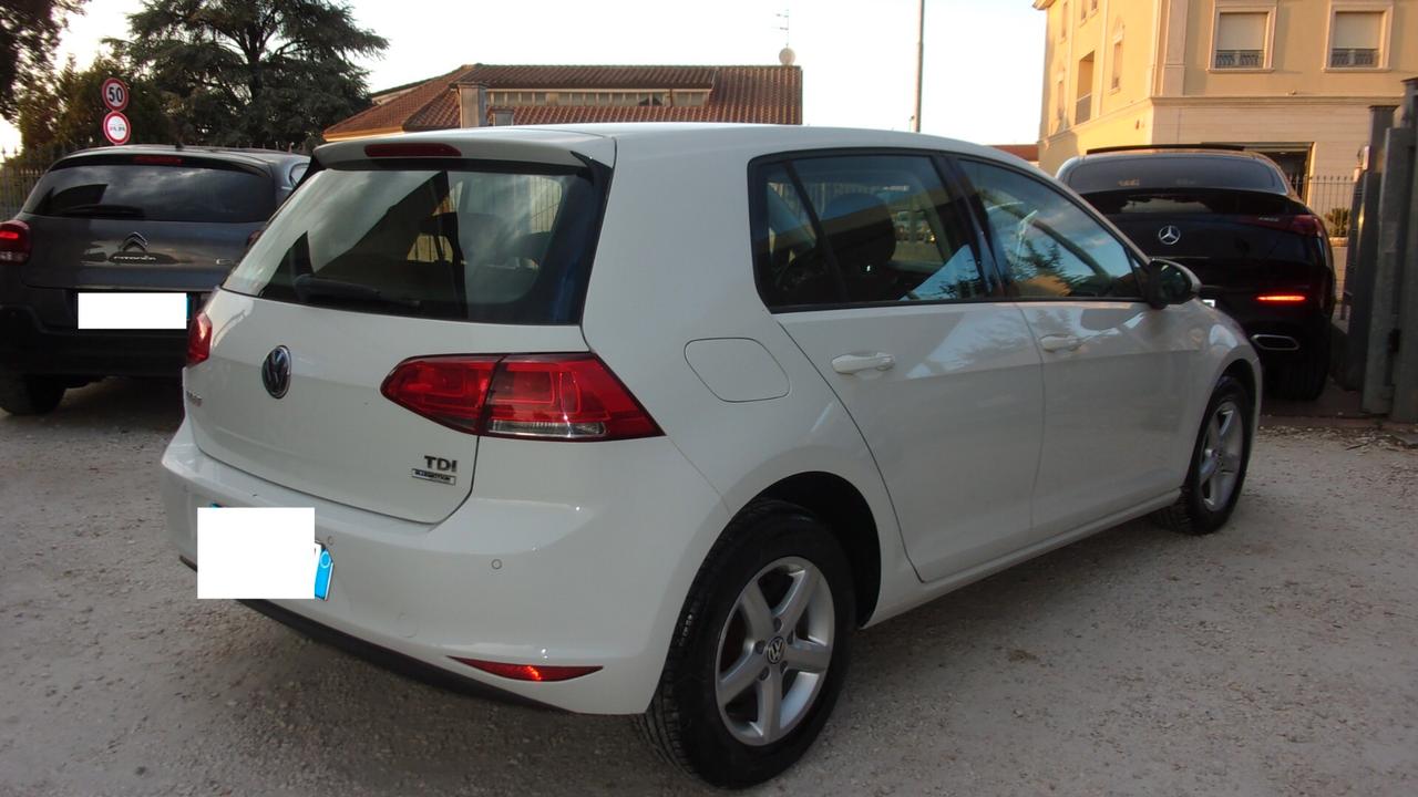Volkswagen Golf 1.6 TDI 90 CV 5p. Business Trendline BlueMotion Tech.