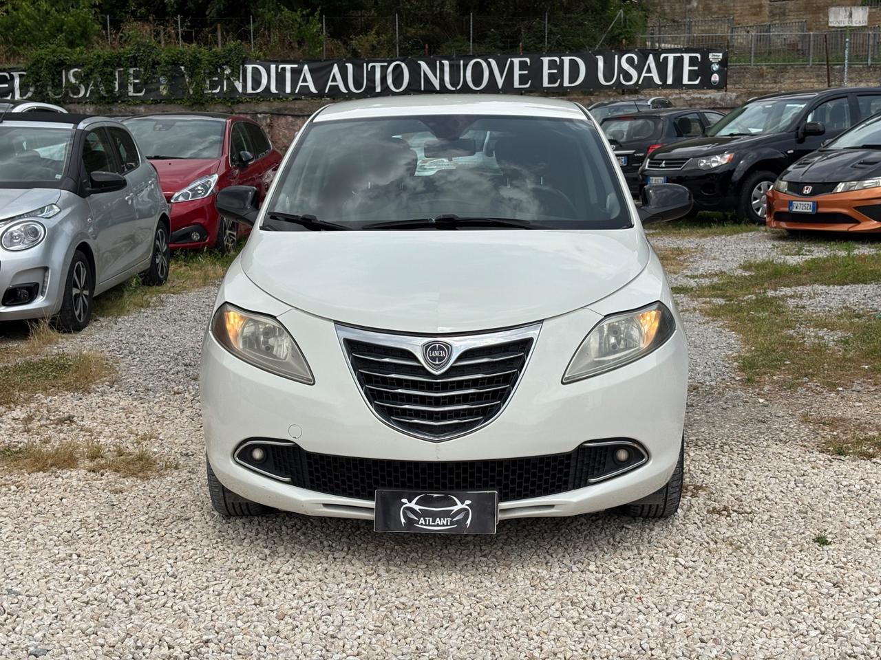 Lancia Ypsilon 1.3 MJT 16V 95 CV 5 porte S&S Platinum