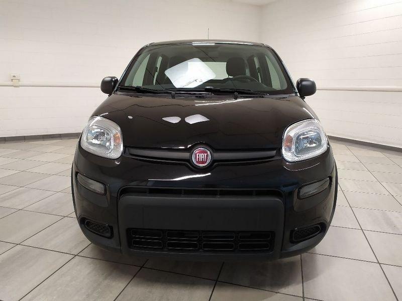 FIAT Panda 1.0 firefly hybrid s&s 70cv