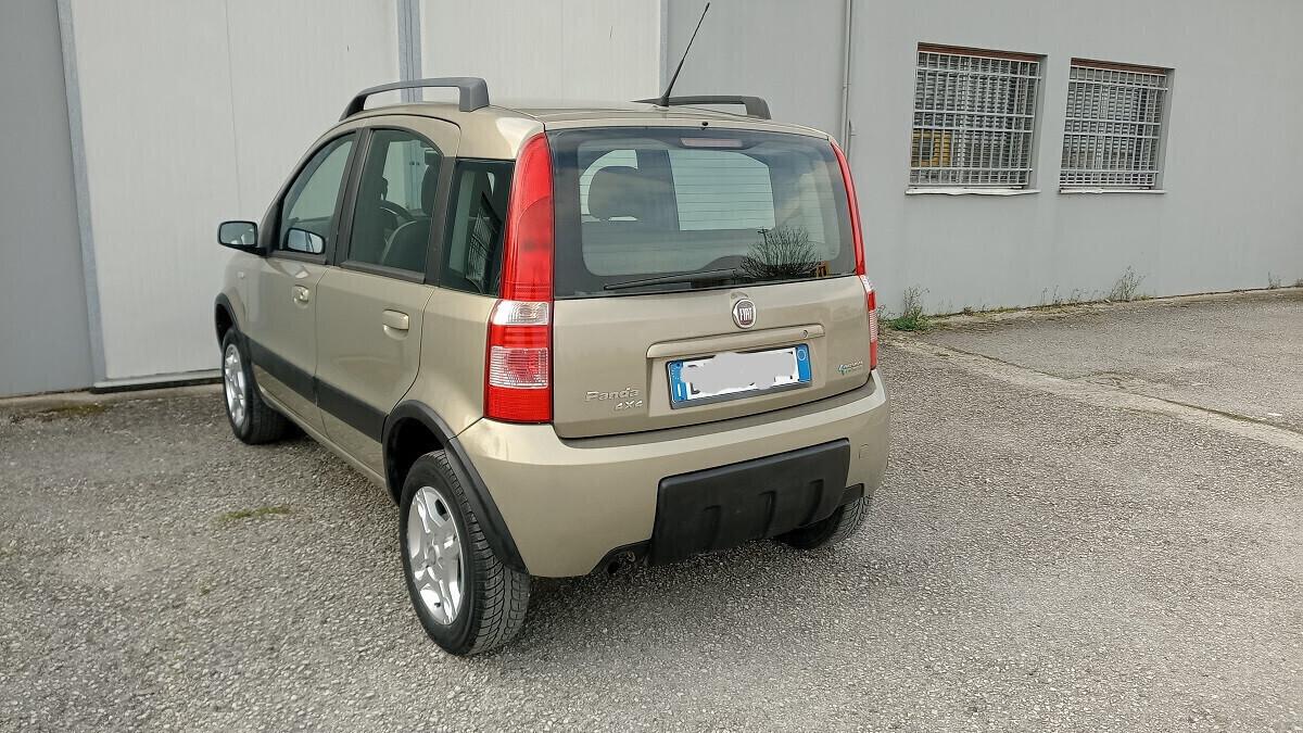 Panda Climbing Natural Power - Motore revisionato -