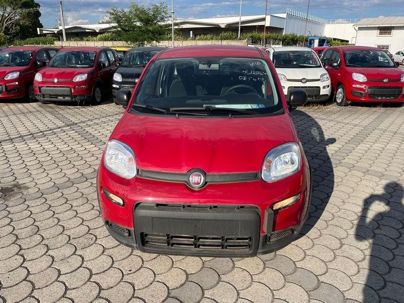 FIAT Panda Panda 1.0 FireFly S&S Hybrid