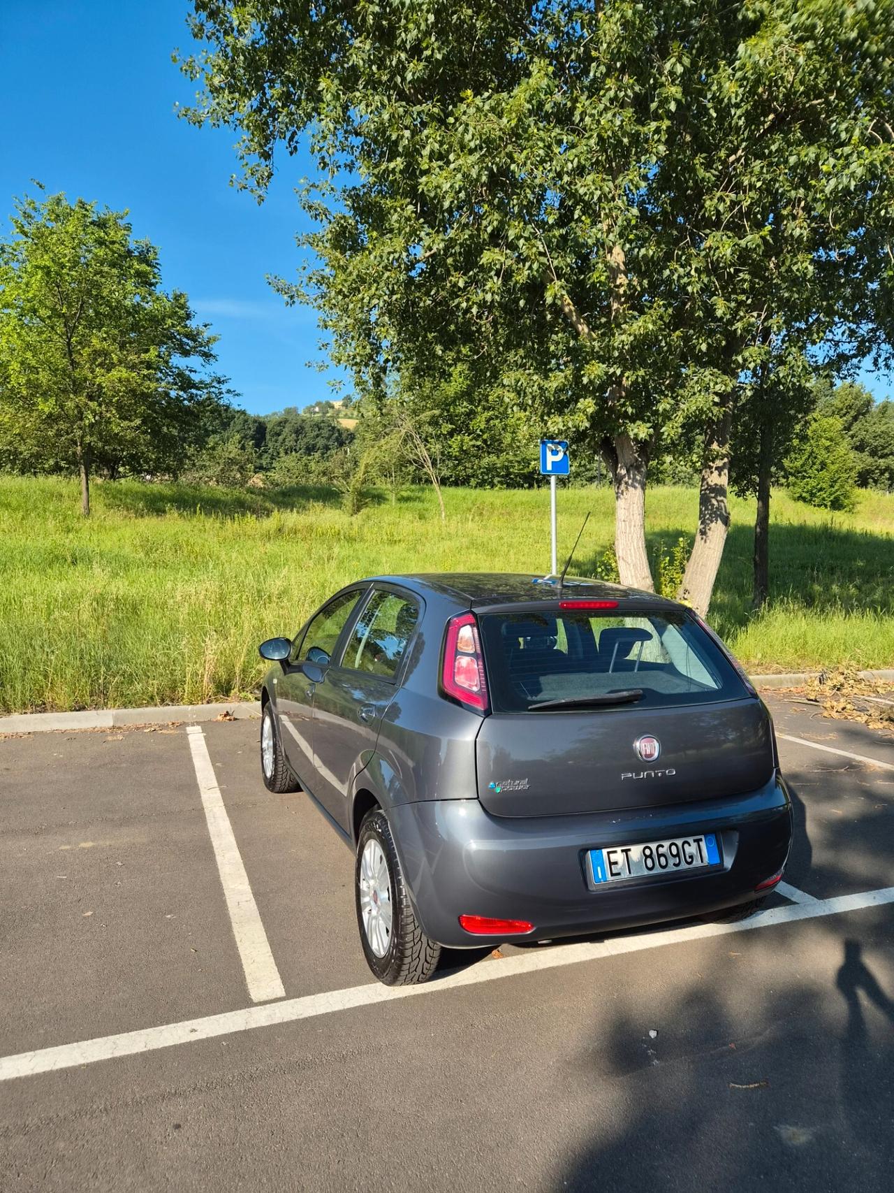 Fiat Punto 1.4 8V 5 porte Natural Power Street