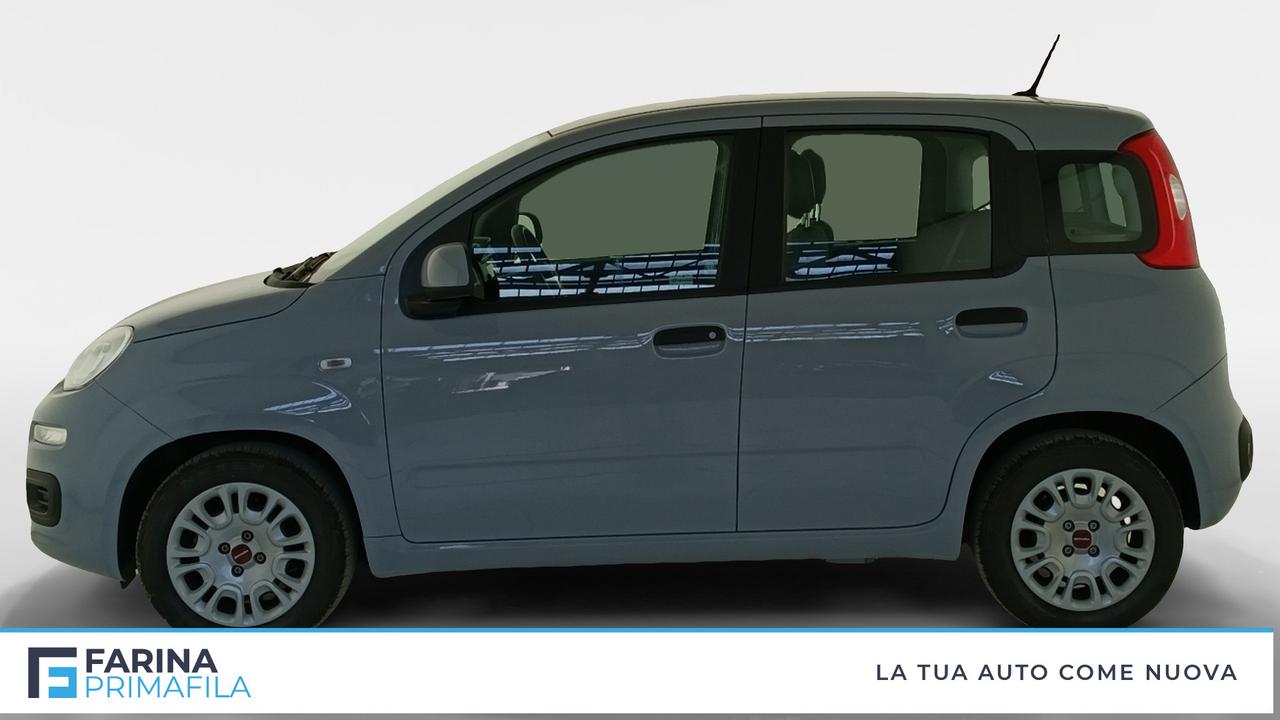 FIAT Panda III 2021 - Panda 1.0 firefly hybrid s&s 70cv