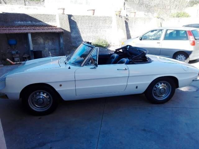 Alfa Romeo Spider 1750 osso di seppia