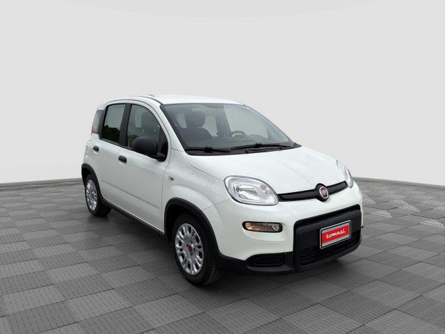 FIAT Panda Panda 1.0 FireFly S&S Hybrid