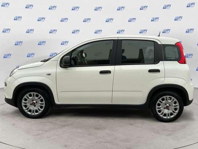 Fiat Panda 1.0 firefly hybrid s&s 70cv 5p.ti
