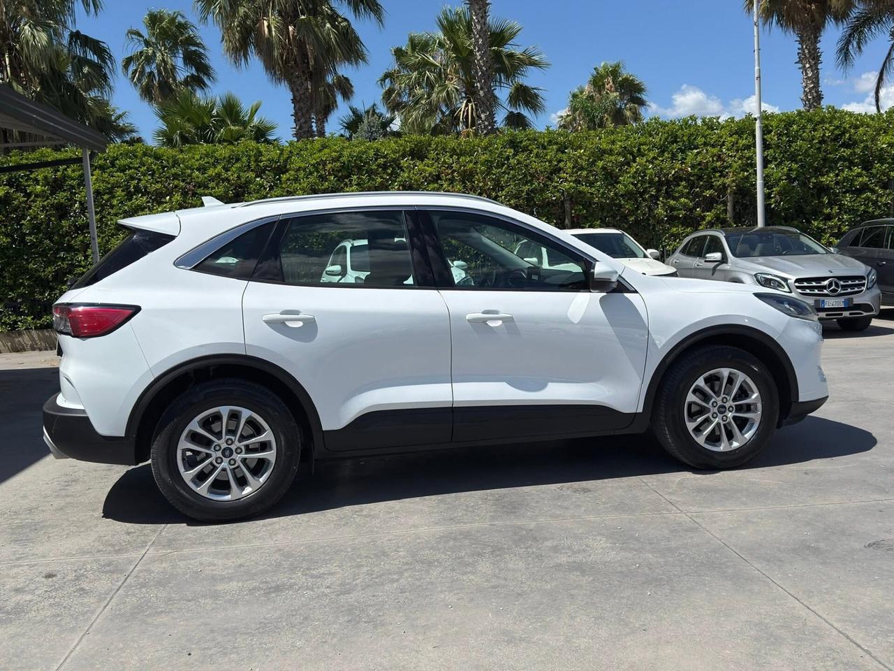 Ford Kuga 1.5 EcoBlue 120 CV aut. 2WD Titanium Business
