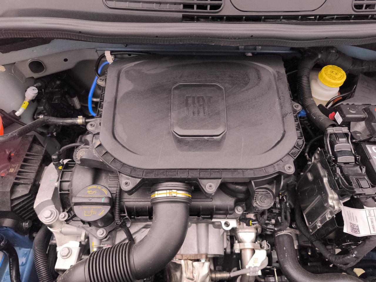 FIAT Panda III 2024 - Panda 1.0 firefly hybrid s&s 70cv 5p.ti