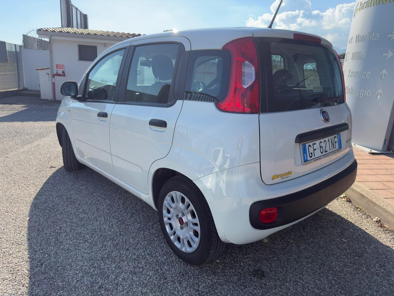 Fiat Panda 1.0 FireFly S&S Hybrid my21" IVA ESPOSTA