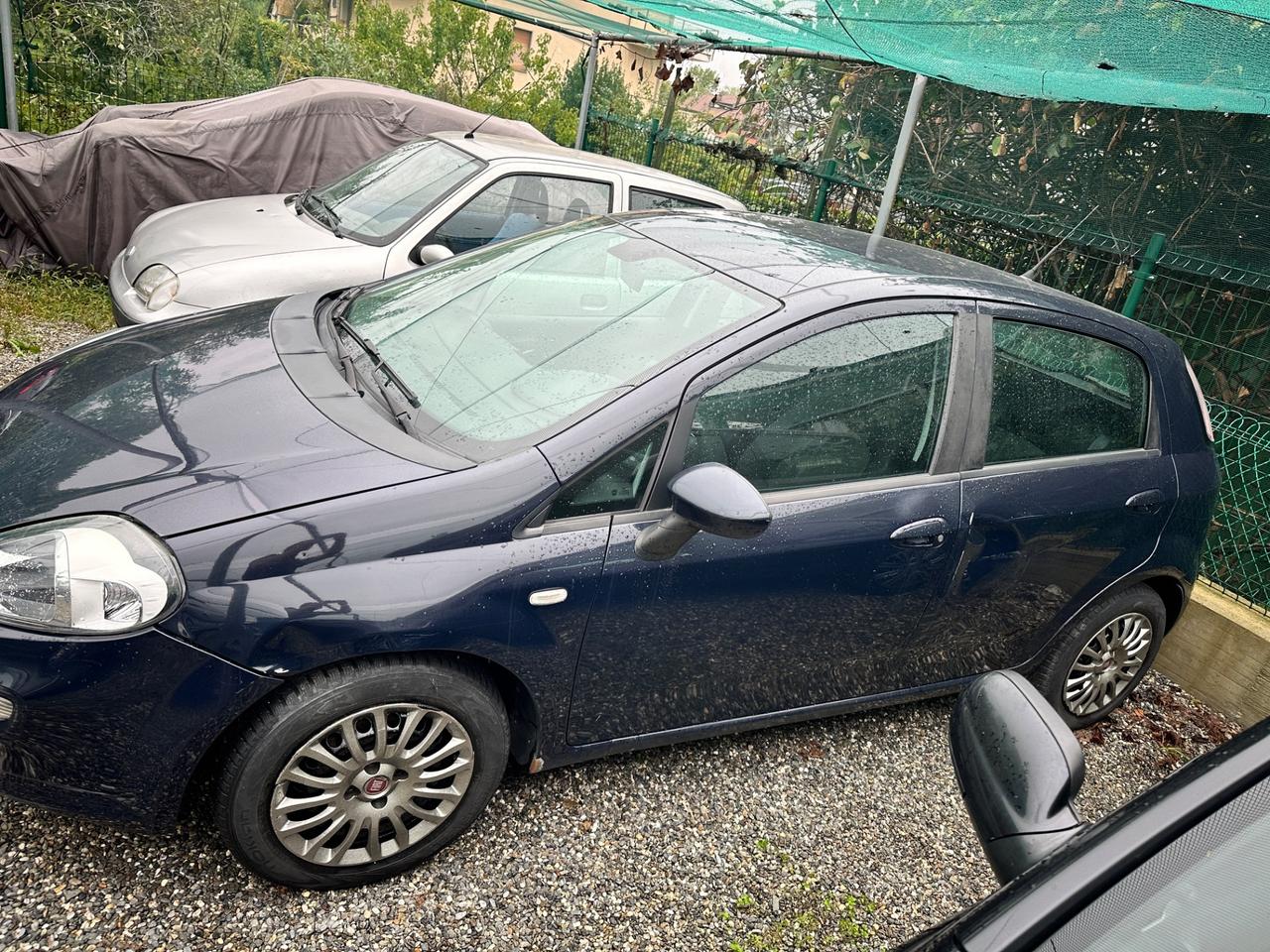Fiat Punto Evo 1.3 MJT 75 CV 5 porte Lounge