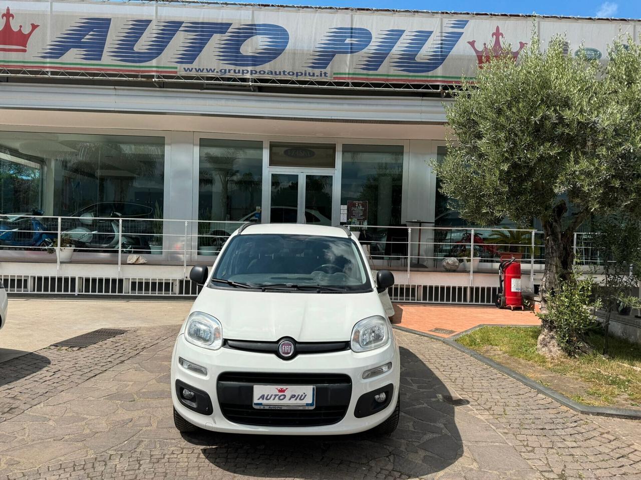 Fiat Panda 1.3 MJT S&S 4x4 NEOPATENTATI