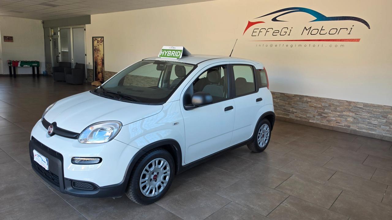 Fiat Panda Hybrid Firefly 69cv