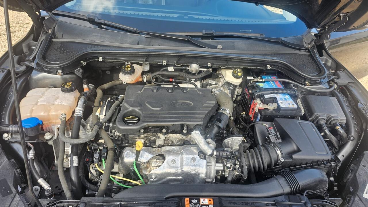 Ford Focus 1.5 EcoBlue 120 CV automatico 5p. Business Co-Pilot