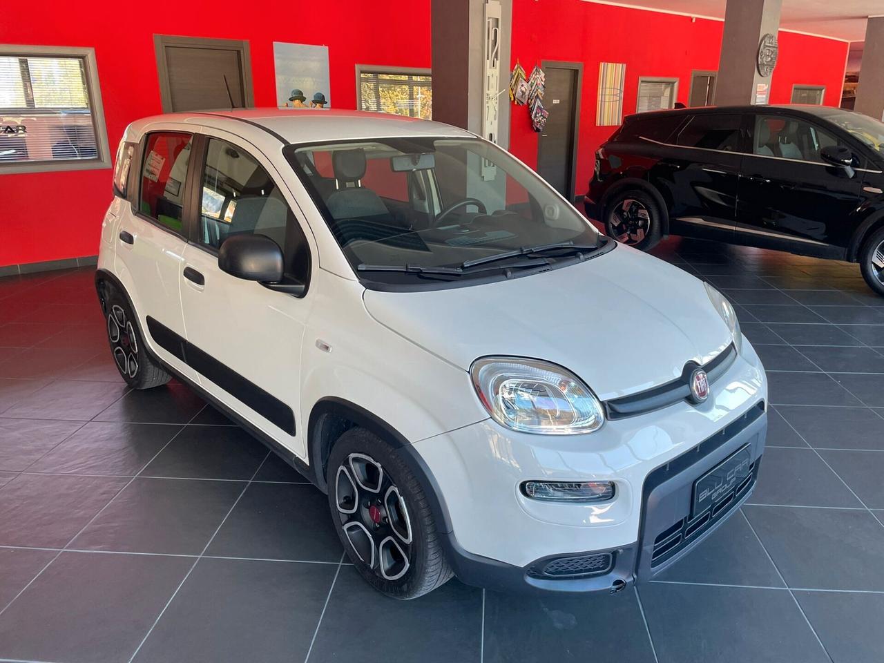 FIAT PANDA 1.0 FIREFLY HYBRID 70cv CITY LIFE