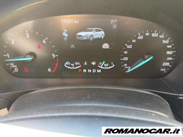 FORD Focus 1.5 EcoBlue 120 CV automatico SW Business Co-Pilot