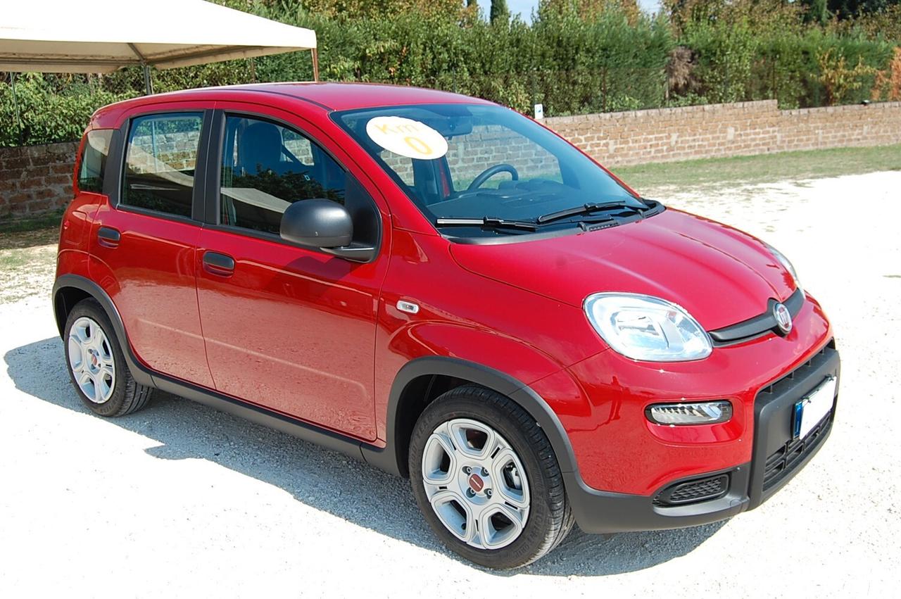 Fiat Panda 1.0 FireFly S&S Hybrid