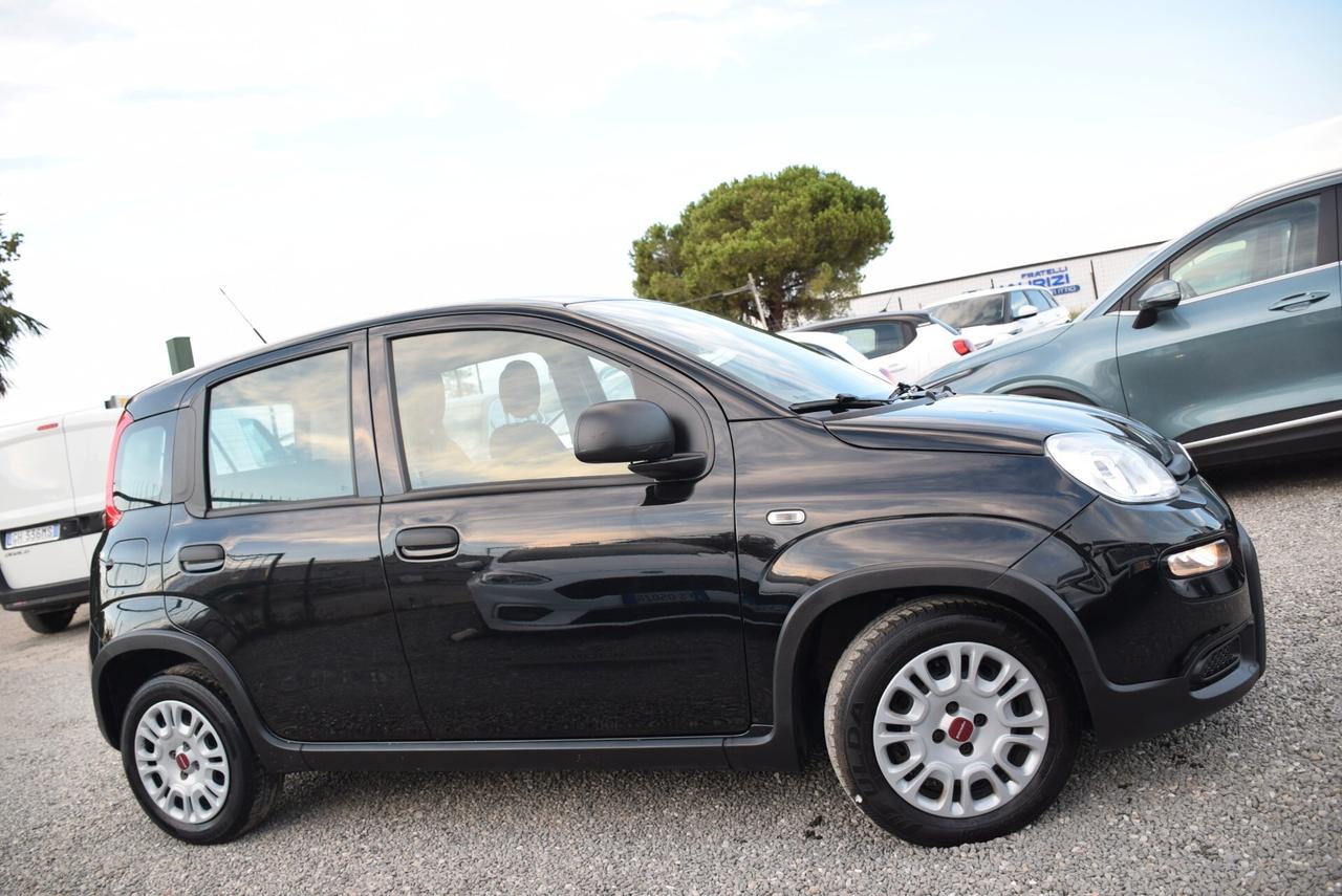 Fiat Panda 1.0 FireFly Hybrid CLIMA BT OK NEOPATENTATI IVA DETR.