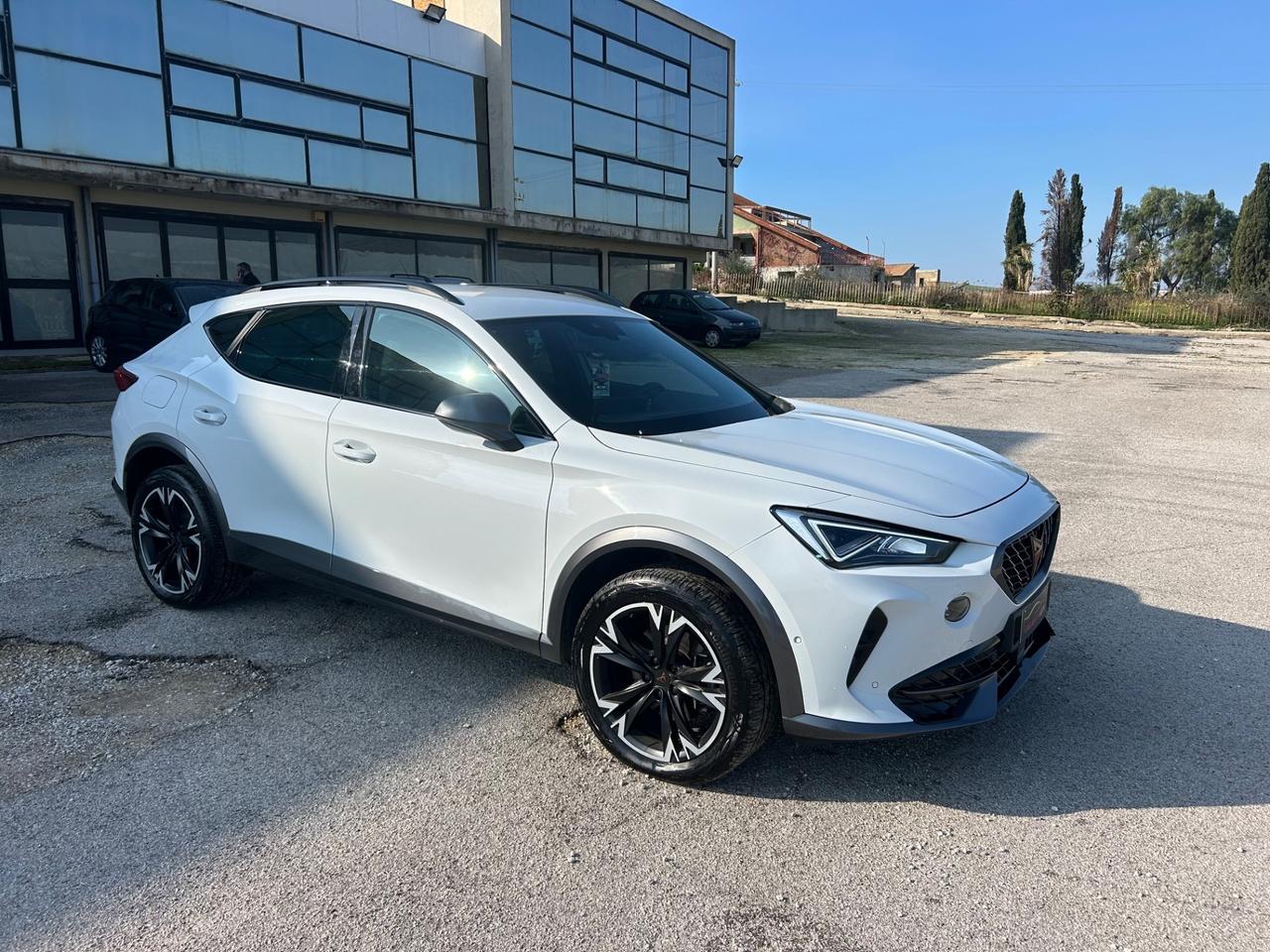 Cupra Formentor 2.0 TDI 4Drive DSG