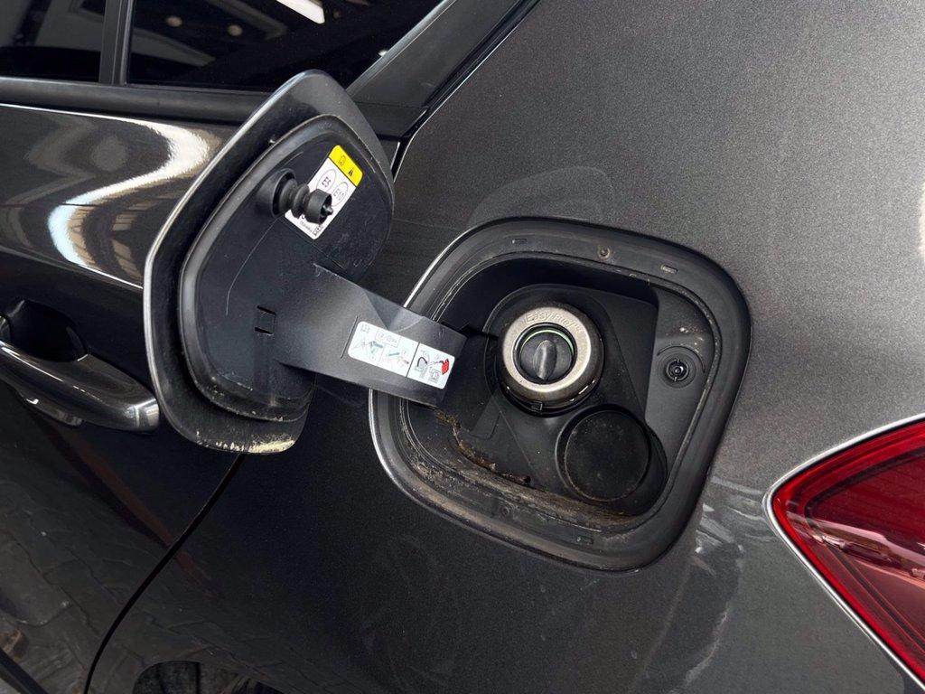FORD Focus 1.0 EcoBoost Hybrid 125 CV 5p. ST-Line del 2023