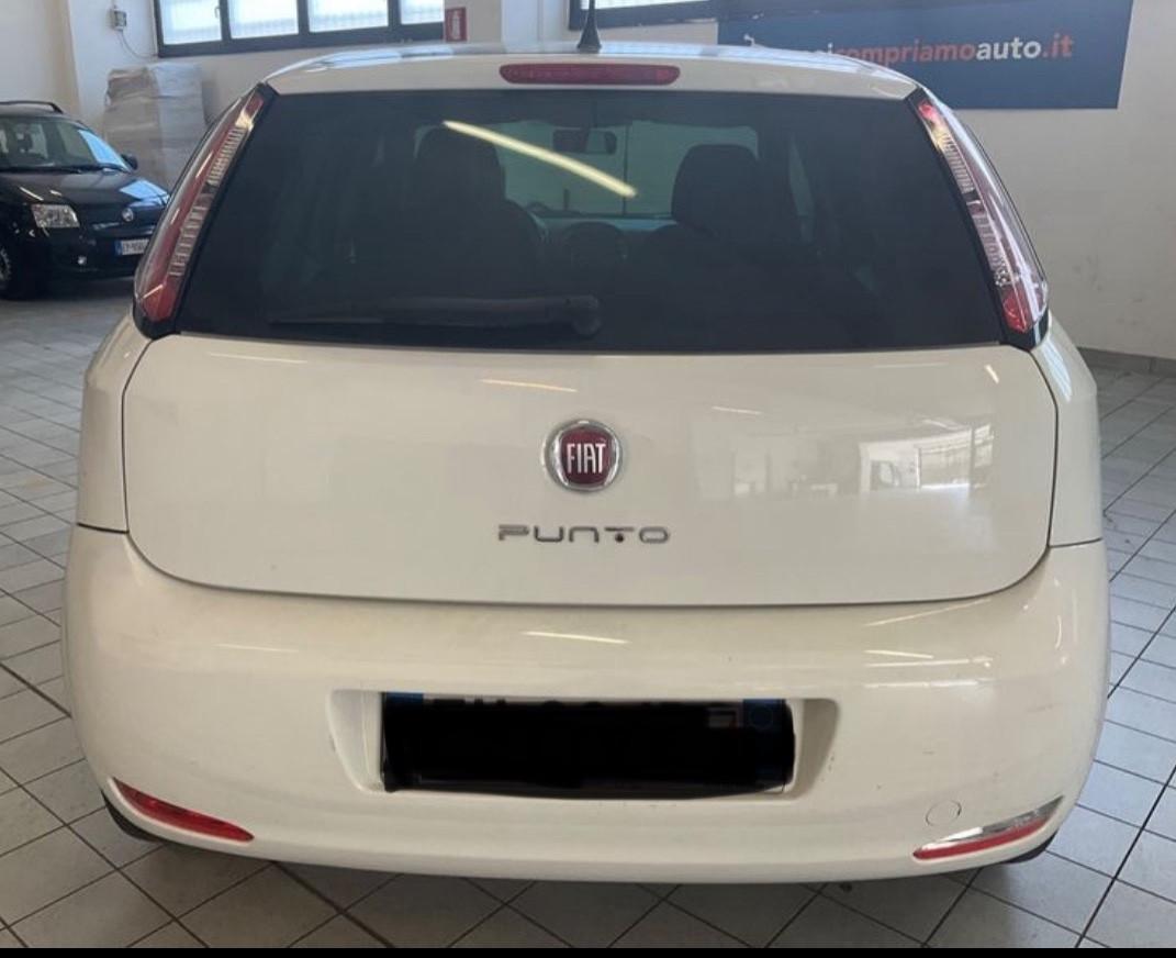 Fiat Punto 1.2 8V 5 porte Young-in arrivo-