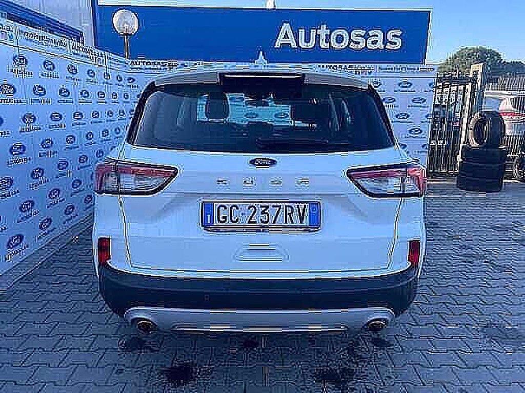 FORD Kuga 1.5 EcoBlue 120 CV 2WD Titanium Business del 2020