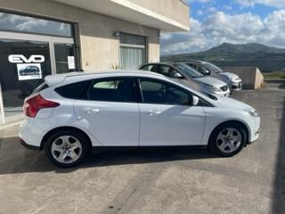 Ford Focus 1.6 TDCi 115 CV Individual