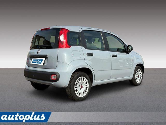 FIAT Panda 1,2 8V Easy