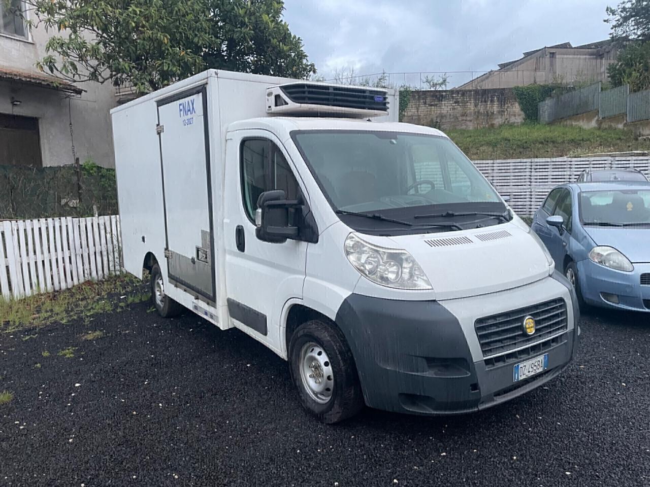 Fiat Ducato Frigo