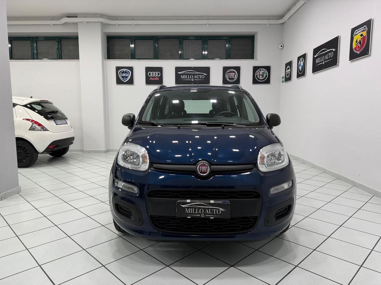 Fiat Panda 1.2cc 69cv Lounge UNICO PROPRIETARIO
