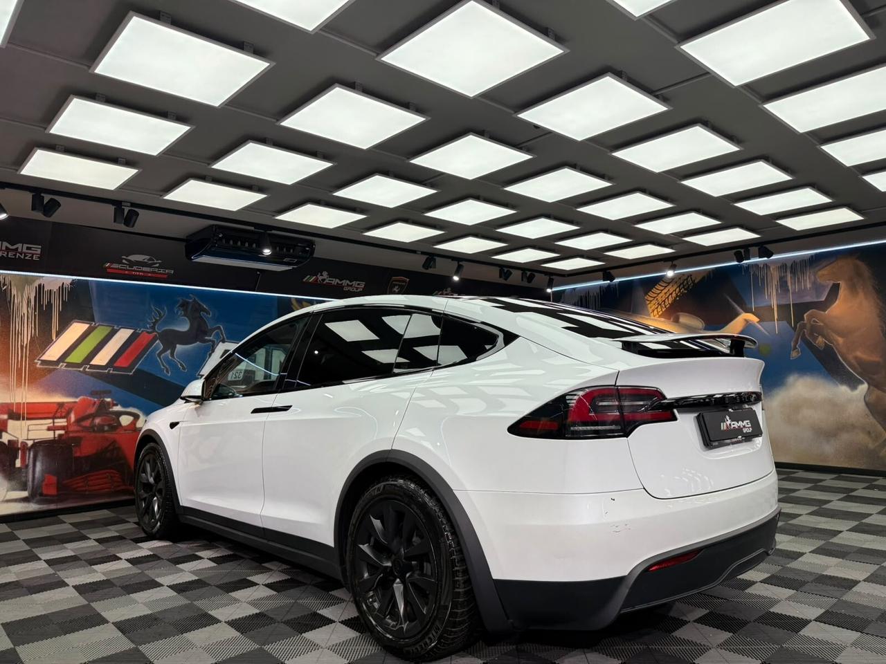 Tesla Model X Dual Motor AWD (803)