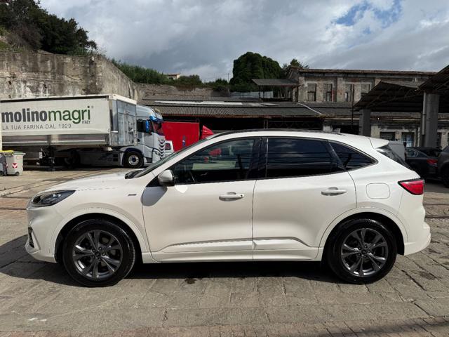 FORD Kuga 1.5 EcoBoost 150 CV 2WD ST-Line X