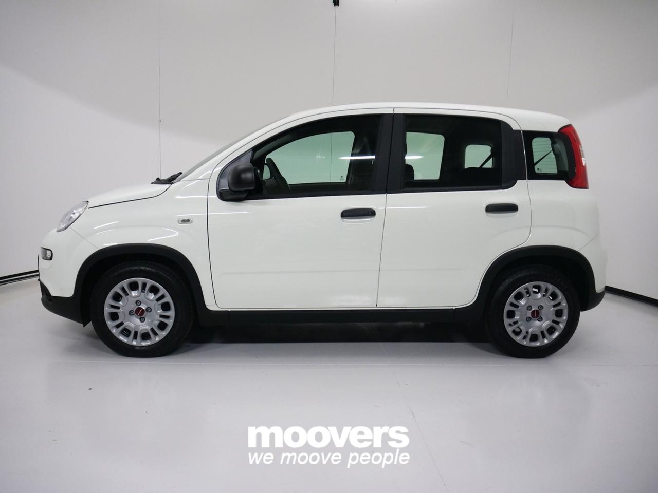 FIAT Panda 3ª serie 1.0 FireFly S&S Hybrid