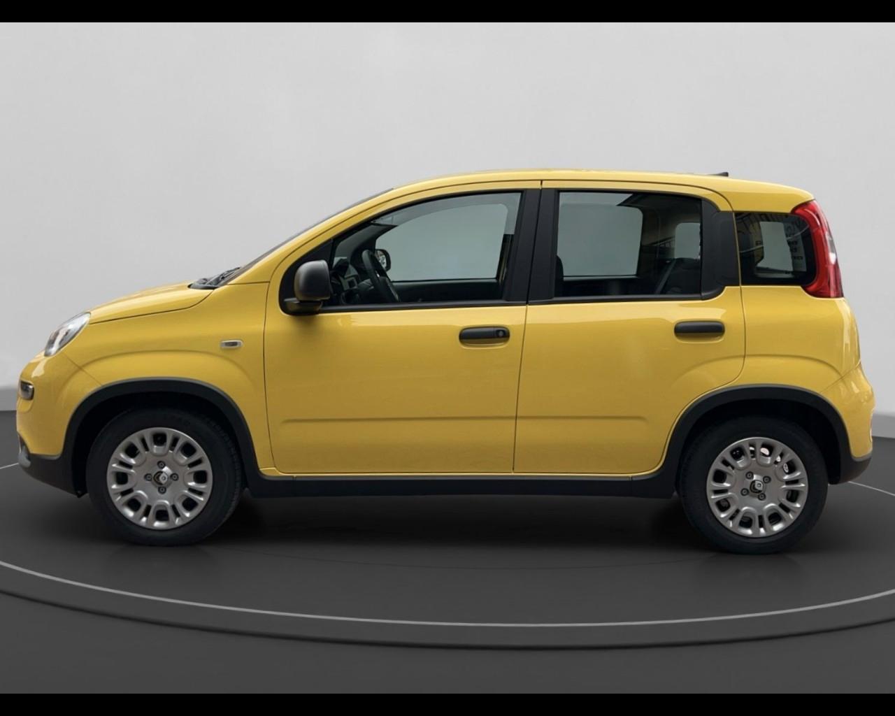 FIAT Panda 1.0 70cv Hybrid Panda